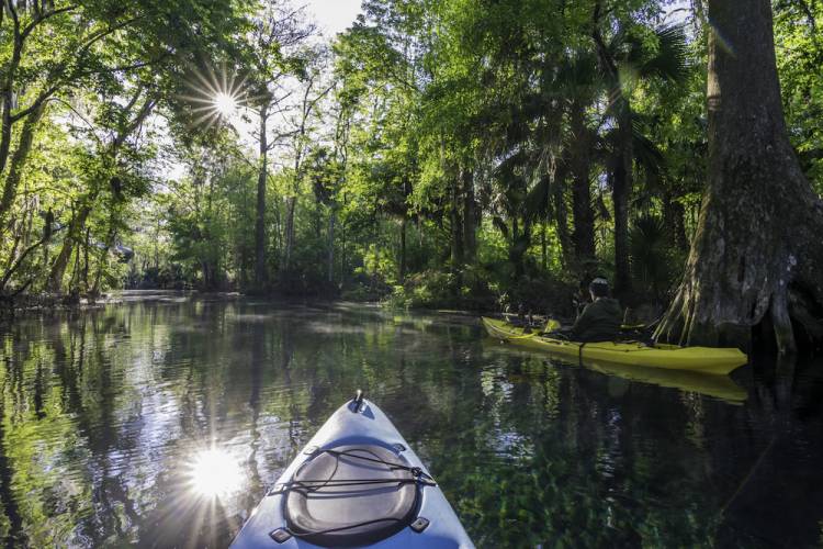 A kayaker in morning light on the Silver River at Silver Springs State Park.